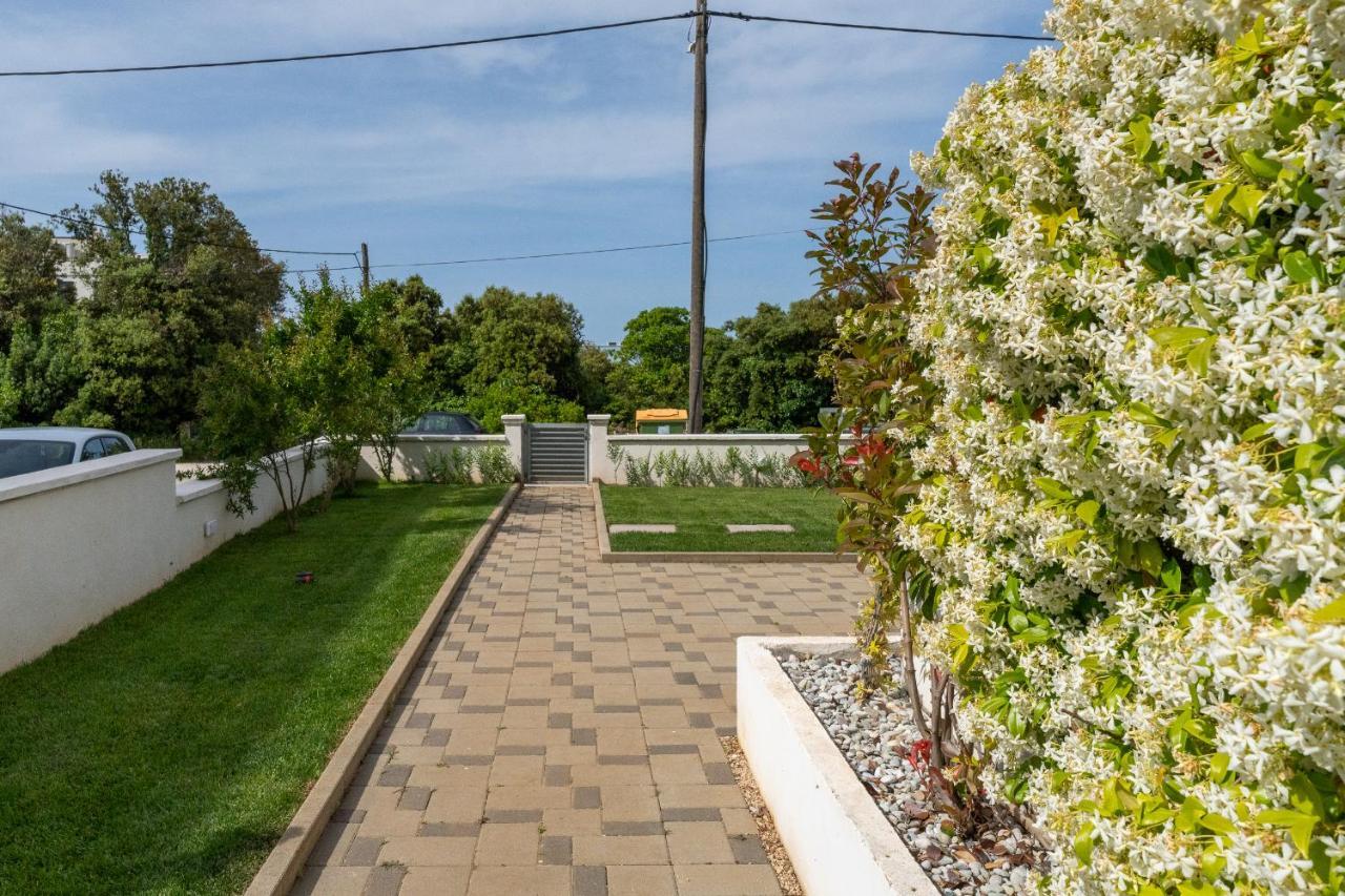 Villa Mirela Petrcane Luaran gambar